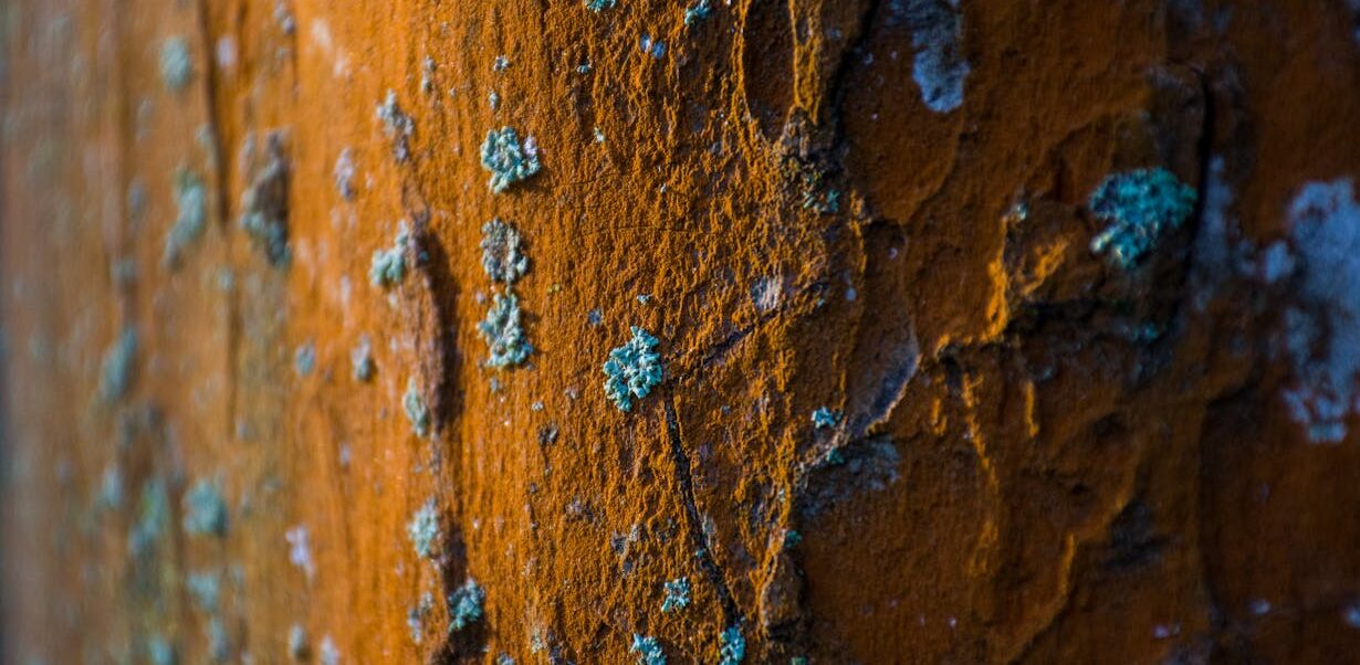 Spongy floors and rusty bilges; a thankless task